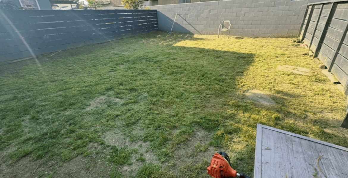 Affordable Lawncare and Landscaping